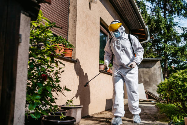 Best Residential Pest Control  in Lansford, PA