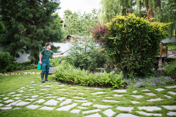 Best Affordable Pest Control Services  in Lansford, PA