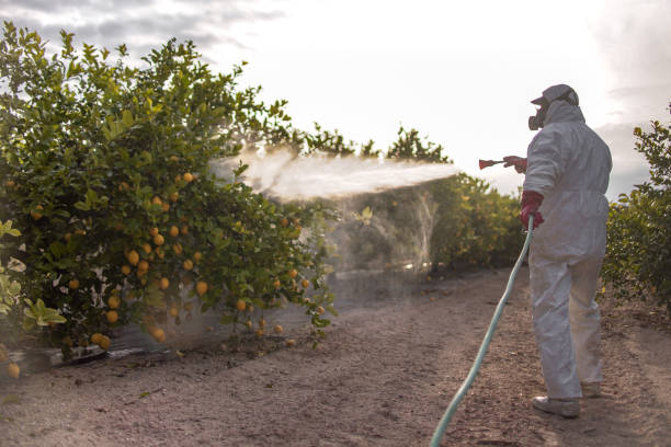 Best Pest Inspection Near Me  in Lansford, PA
