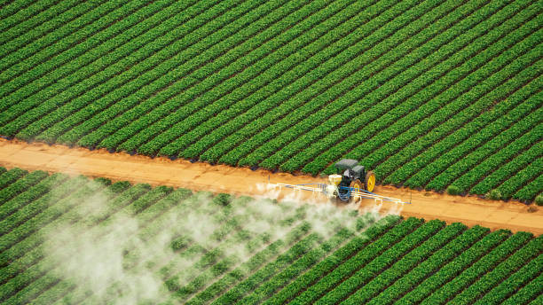 Best Pest Removal Services  in Lansford, PA