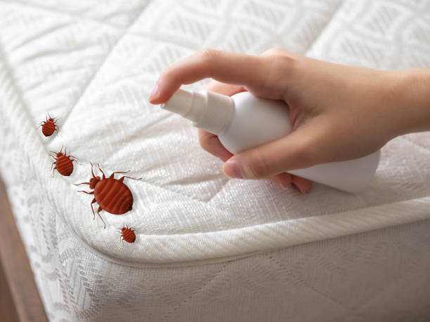 Best Pest Control Near Me  in Lansford, PA