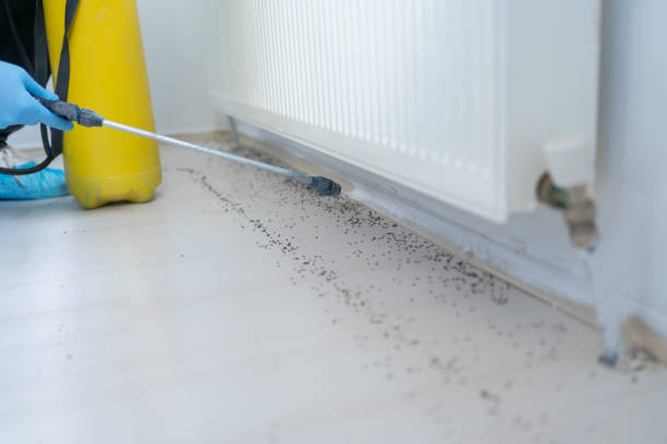 Best Exterminator Services  in Lansford, PA